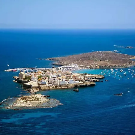 Cometa Center * Benidorm