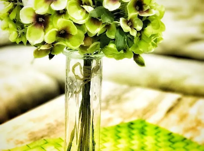 Apartmán Cometa Center