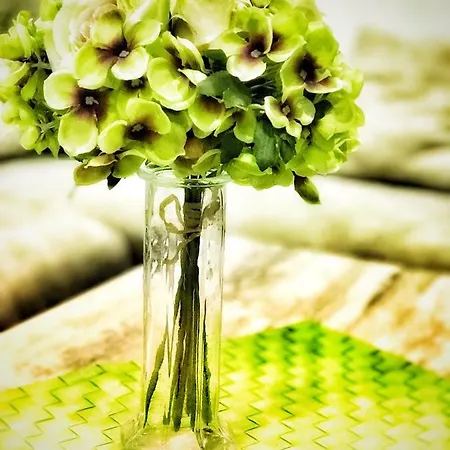 Apartament Cometa Center