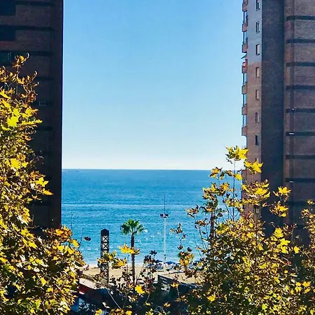 Cometa Center Apartament